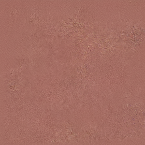 Carreaux de céramique résistants aux acides Faible absorption d'eau Prix bon marché Faible quantité minimale de commande Conception personnalisée Exportée du Vietnam - Product Image 1