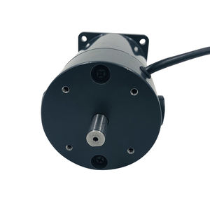 ZYT-<span class=keywords><strong>Motor</strong></span> de CC de imán permanente para electrodomésticos, 12V, 24v, 500W, 1800RPM, 3000RPM - Product Image 5