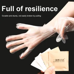 Factory Hot Selling Plastic Pe Gloves HDPE Clear Plastic Polythene Kitchen Waterproof Household Disposable Food PE Gloves