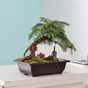 Pot de fleurs rectangulaire en plastique grande taille grand <span class=keywords><strong>bassin</strong></span> de plantes en plastique intérieur extérieur Pots de jardin de fleurs plantation - Product Image 1