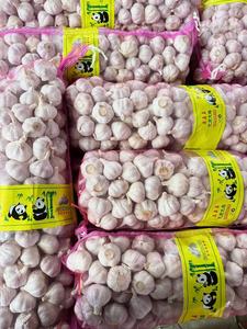 Ajo Blanco Fresco Chino, Puro o Normal, Verduras Frescas, Precio al por Mayor, Alho, Ail, Ajo, Exportado de China - Product Image 2