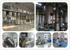 Sıcak Satış Üreticileri Saf <span class=keywords><strong>Notopterygium</strong></span> Kök Ekstresi 10:1 Sağlar, Özelleştirilmiş Toz Qianghuo Ekstresi Tozu - Product Image 3