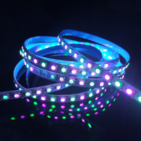 Kontrol Aplikasi yang Dapat Diprogram, Strip LED Pintar yang Dapat Diatur Alamatnya RGB IC 5050 SK6813 Pixel 12V DC dengan IC Terintegrasi