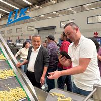 Industriële 100-5000kg/uur volautomatische productielijn voor frites, fabriekslevering, aantrekkelijke prijs, voedselverwerking