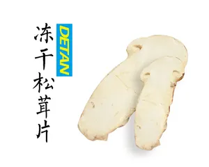 Tranches lyophilisées de Tricholoma matsutake 1g équivaut à 15g de champignons matsutake frais