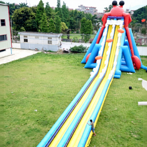 Outdoor <b>Water</b> <b>Slide</b> <b>Inflatable</b> and for Adult Accept Customized Size <b>Water</b> <b>Slide</b> <b>Inflatable</b> <b>Water</b> <b>Slide</b> for Adult Out - Product Image 1