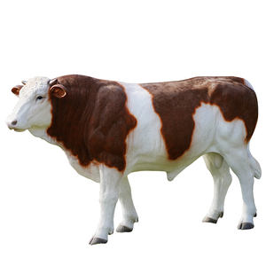 Statue de <span class=keywords><strong>vache</strong></span> en résine de fibre de verre de grande taille, artisanale, grandeur nature, pour la décoration de parc - Product Image 1