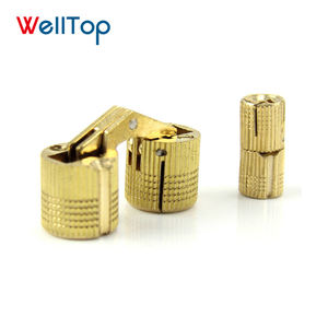 <span class=keywords><strong>Bisagra</strong></span> cilíndrica <span class=keywords><strong>oculta</strong></span> de barril invisible, pequeña, de latón, de 180 grados, para joyería artesanal, VT-261 - Product Image 3