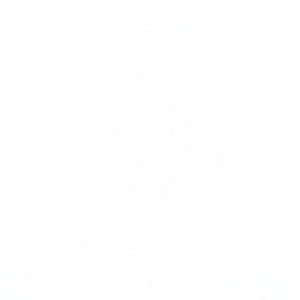 Suministramos Anillos de Pistón de Aluminio para Toyota Prado 2.7L 2700 Hilux, Biela Estándar +25 +50+ Piezas de Pistón - Product Image 1