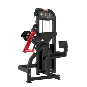 Gym Fitness Equipment Muscle Building Dual Functions Biceps Triceps Machine
