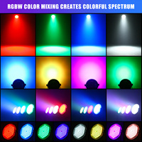 Projecteurs de scène LED RGBW 4-en-1 30W haute luminosité DMX512 pour DJ, discothèque, mariage, fête, église