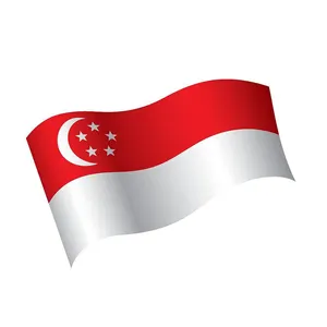 Penjualan laris harga pabrik 3*5 kaki 100% poliester kualitas tinggi bendera nasional Singapura semua ukuran bendera kustom Negara