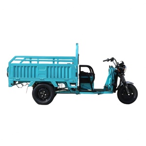 Triciclo Eléctrico Económico de 60V1000W con Barandilla Alta, Certificado CE, para Pasajeros Adultos y Carga, Triciclos Eléctricos de Carga con Carrocería Abierta - Product Image 2