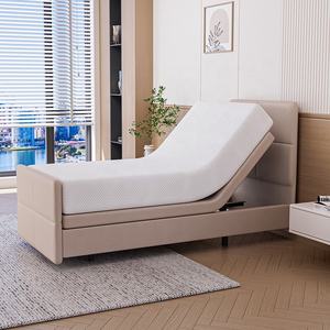 Vente en gros d'usine de lit médical réglable de haute qualité en Europe avec pied de lit - Product Image 4