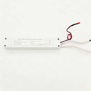 Convertisseur LED d'urgence AC-DC double sortie 20W avec boîtier en plastique, efficacité 90-99%, certifié ROHS, garantie 2 ans - Product Image 1