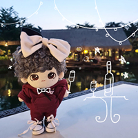 Poupées Kpop 20 cm, vêtements pour poupées idoles, peluches personnalisées en coton PP brodé, super douces, accessoires de jouets adorables