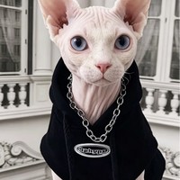 OEM ODM Sweat à capuche noir pour chat Sphynx, avec logo imprimé et cordon de serrage, vêtements pour chat sans poils, haut pour chaton, vêtements pour animaux de compagnie
