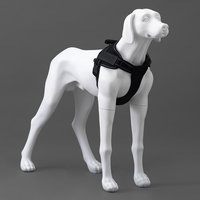 G6 Venta al por mayor Ventana Realista Tamaño real Estatua Exhibición Modelo Perro Maniquí