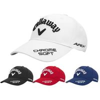 Gorras de Béisbol de 6 Paneles de Terciopelo Tropical Vintage con Logotipo Personalizado, Novedad 2022, para Hombre y Mujer, Ajustables, Transpirables para Invierno