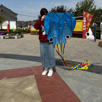 Ensemble de 3 cerfs-volants en polyester, cadeau pour enfants, cerfs-volants faciles à faire voler pour enfants et adultes, de la part de la fabrique de cerfs-volants
