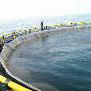 UV Stabilized HDPE Circular Sea Cage Anti-aging <b>Floating</b> Net Cage For Long-term Marine Usage - Product Image 2