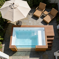Petit conteneur d'expédition en bois moderne de luxe piscine 20 pieds fibre de verre Frp piscine de natation spa en acrylique hors sol