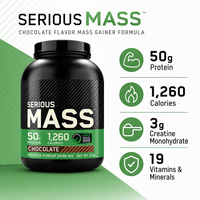 Poudre de Protéine de Lactosérum Saveur Chocolat, Mélange pour Boisson Nutritionnelle Sportive, Shake Hypercalorique pour Prise de Masse, Fournisseur OEM