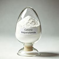 Poudre floculante CPAM haute pureté à bas prix pour la compression et la déshydratation des boues des stations d'épuration urbaines