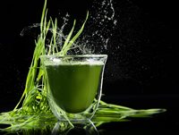 Poudre de légumes verts OEM d'usine pour la détox, spiruline, poudre d'herbe de blé avec fruits et légumes