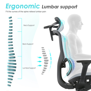 Silla de <span class=keywords><strong>jefe</strong></span> de oficina เก้าอี้รองรับบั้นเอวแบบปรับได้เก้าอี้ไนลอนสำหรับผู้บริหาร - Product Image 3
