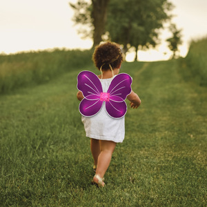 Butterfly Craze Girl Fairy <strong>Angel</strong> Butterfly Wings Party Costume <strong>Accessories</strong> in Blue Green Pink Purple Colors for Decorations - Product Image 2