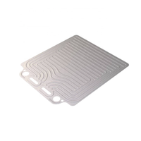 Plaque de refroidissement de batterie EV en aluminium 6061-T6 usinée sur mesure par CNC