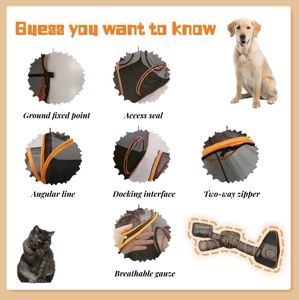 Duurzame Nylon Pop-Up Pet Play Speelgoed Tenten Gratis Toegang Kegelvormige Tentunnels Vervaardigen Bestseller Verpakt In Doos - Product Image 4