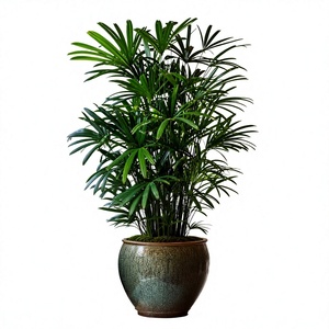 Maceta Redonda de Cerámica Esmaltada Verde Marrón Moderna para Plantas de Interior para el Hogar - Product Image 1