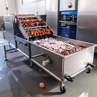 Multifunktionale Waschmaschine für Obst & Gemüse Hocheffiziente Automatische Bürsten-Blasen-Waschmaschine Reinigungsgerät
