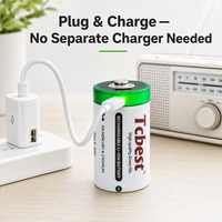 Batterie rechargeable 1,5 V 6000 mAh type D USB-C Li-ion 1200 cycles pour lampe torche, lanterne, jouet