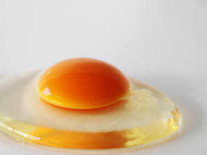 ไข่ ZEN-NOH คุณภาพเยี่ยมจากญี่ปุ่น หลากหลายสายพันธุ์ ไข่สดแท้ อายุการเก็บรักษา 60-90 วัน บรรจุ 10 กก./ลัง จากผู้จัดจำหน่าย - Product Image 4