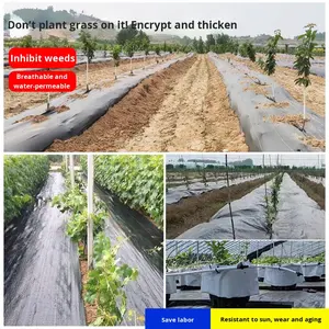 Toile de paillage noire en PP pour l'élimination des mauvaises herbes dans les vergers agricoles et <span class=keywords><strong>film</strong></span> de couverture du sol - Product Image 3