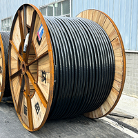 Kabel Tembaga Guda WDZA-YJY23-1 3*50mm^2+1*25mm^2 0.6/1KV XLPE Pelindung Baja Berpita Selubung Luar XLPE Bebas Halogen Tahan Api Rendah Asap