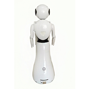 Il Servizio clienti Femminile Server Robot Humanoide per la Vendita - Product Image 5