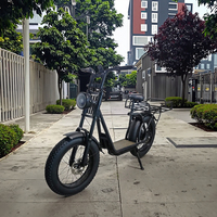 Trottinette électrique tout-terrain 750W, batterie lithium, moteur sans balais, cadre en fer ABS, commande électronique, pneus larges de 20 pouces, étanche