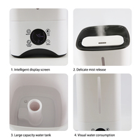 Purificateur d'humidificateur d'air à ultrasons portable polyvalent pour hôtel Humidificateur d'extérieur Mini