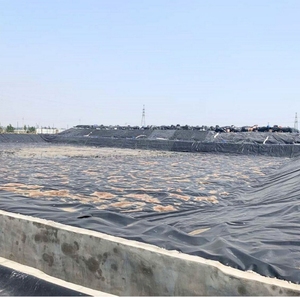 จีโอเมมเบรน HDPE สำหรับฝังกลบ2025ซับพีพีอีสำหรับควบคุมการรั่วซึม - Product Image 4