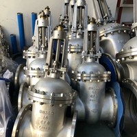 Válvula de Compuerta de Acero Fundido de Alta Calidad con Vástago Ascendente y Asiento Resiliente, con Acabado de Acero Inoxidable 304, Directo de Fábrica