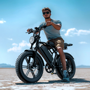 Vélo de montagne électrique le plus vendu en Europe, 250W 750W, vélo électrique pour adultes, V8 Fatbike V20 Pro R002, vélo électrique à pneus larges - Product Image 1