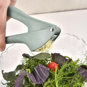 Presse-ail simple, presse-ail manuel, outil de cuisine portable, broyeur d'herbes et d'épices durable pour la cuisine à domicile - Product Image 4
