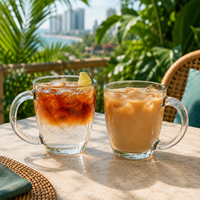 Ensemble de tasses en verre transparent de 360 ml avec grande poignée, idéal pour le café glacé, le lait et les jus, pour hôtels, restaurants et cafés – Vente directe usine
