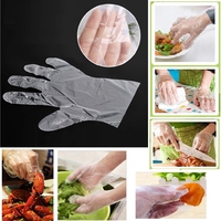 Gants en plastique transparents pour la coloration des cheveux / salon de coiffure / barbier / soins des animaux