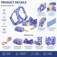 Ensemble de harnais pour chien imprimé personnalisé OEM/ODM, collier et laisse pour chien, faible MOQ, directement de l'usine, accessoire pour animaux de compagnie, pour chiots et chiens.