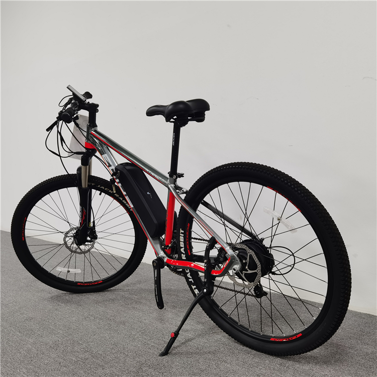 E Bike Electric Bicycle 